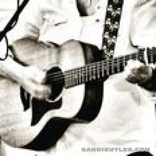 elvis-style-